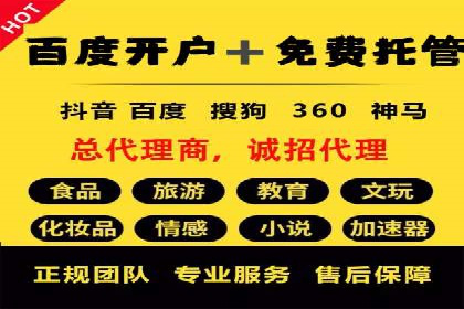 成功案例：一家SEM外包公司的成长与蜕变