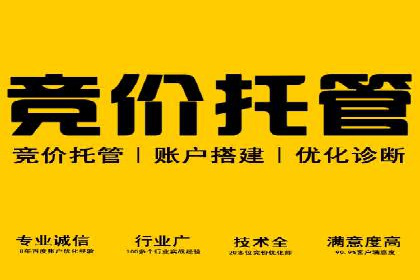 探索专业SEM托管的奥秘：从案例看效果